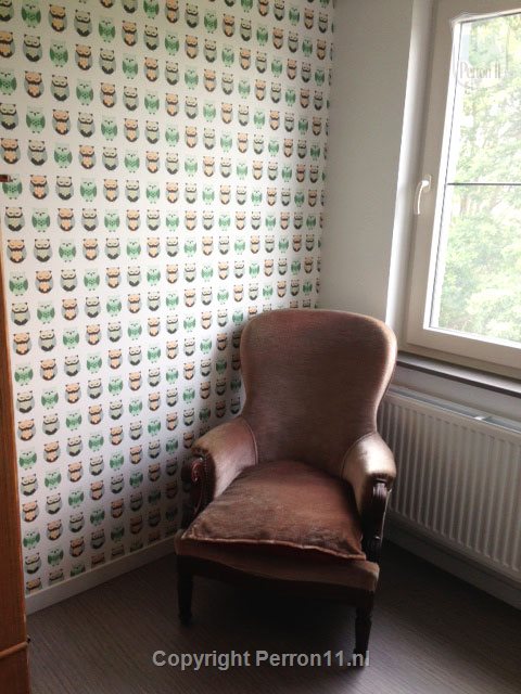 Kinderkamer babykamer voorbeeld patroonbehang uiltjes