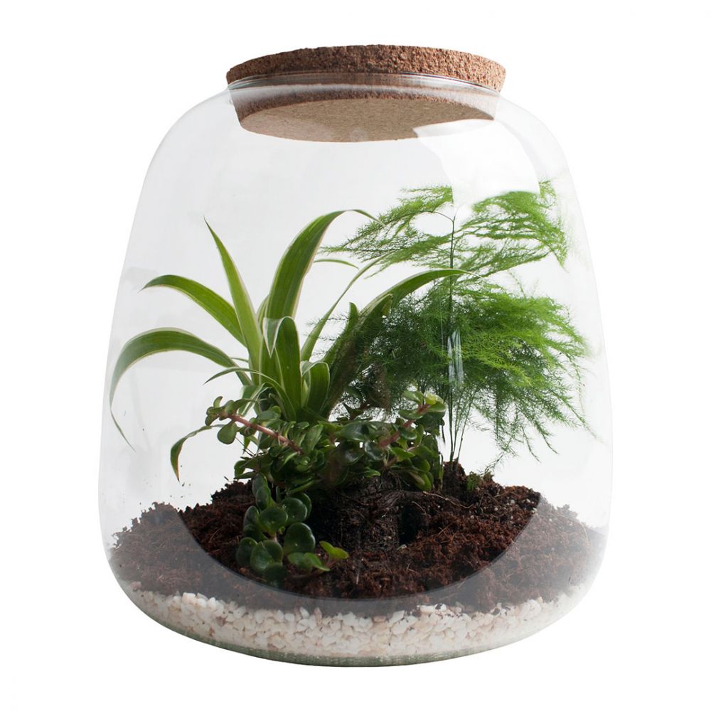 Voorbeeld van een ecosysteem